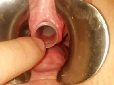 Tienerpaar experimenteert en gratis amateur sexfilm neukt op de bank