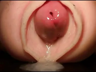Een tienerpaar onderzoekt elke dag beste sexfilms nieuwe seksuele dingen